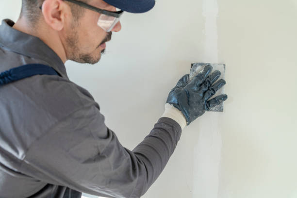 Best Fire-Damaged Drywall Repair  in Le Sueur, MN